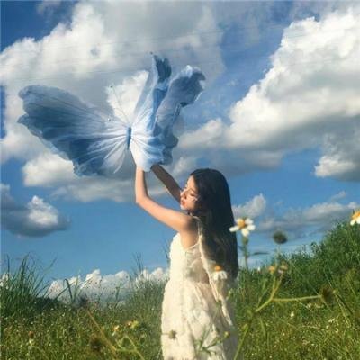 金秘书为何那样